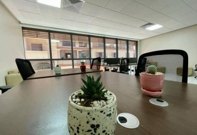 Modern open-plan workspace at Centre d’Affaires Malizia with large windows and potted succulents.