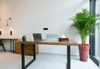 Reception desk with laptops and a large potted plant near a bright window.
