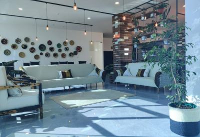 Spacious communal lounge with modern sofas, wall art, and a large potted plant.