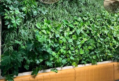 Executive suite - Johannesburg