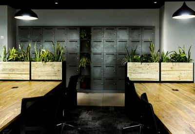 Collaborative workspace featuring wooden desks and planters used as room dividers.