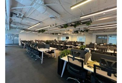 Spacious office layout with white desks, ergonomic chairs, and hanging greenery.