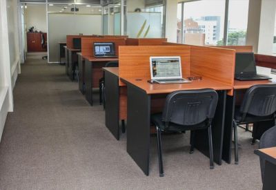 Row of individual wooden workstations with privacy dividers and black office chairs.
