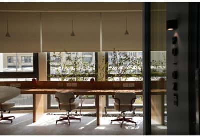 Wooden workstation desks lined against windows with potted plants and soft natural light.