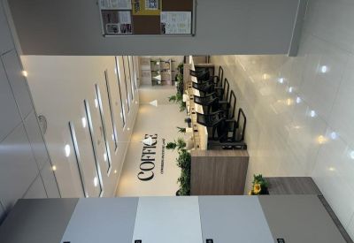 Overhead view of a long coworking table with potted plants and sleek black chairs.