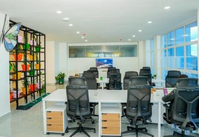 Open-plan office space with white desks, ergonomic chairs, and a plant display.