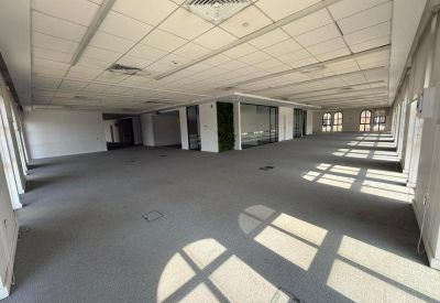 Spacious open-plan office with grey carpeting and bright natural light from many windows.