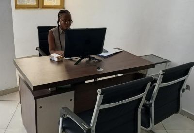 Bright workspace featuring a dark wood executive desk and ergonomic guest chairs.