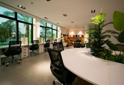 Bright coworking space with individual desks, ergonomic chairs, and large windows overlooking palm trees.