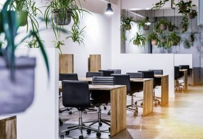 Open-plan office space with wooden desks, black chairs, and a variety of hanging greenery.