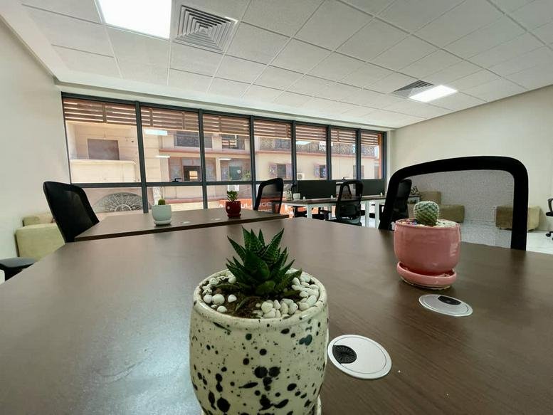 Spacious coworking area at Centre d’Affaires Malizia with plants on desks and large windows.
