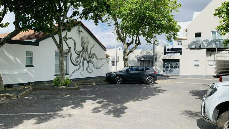 Exterior view of the white Octopus House building featuring a large octopus mural on the facade.