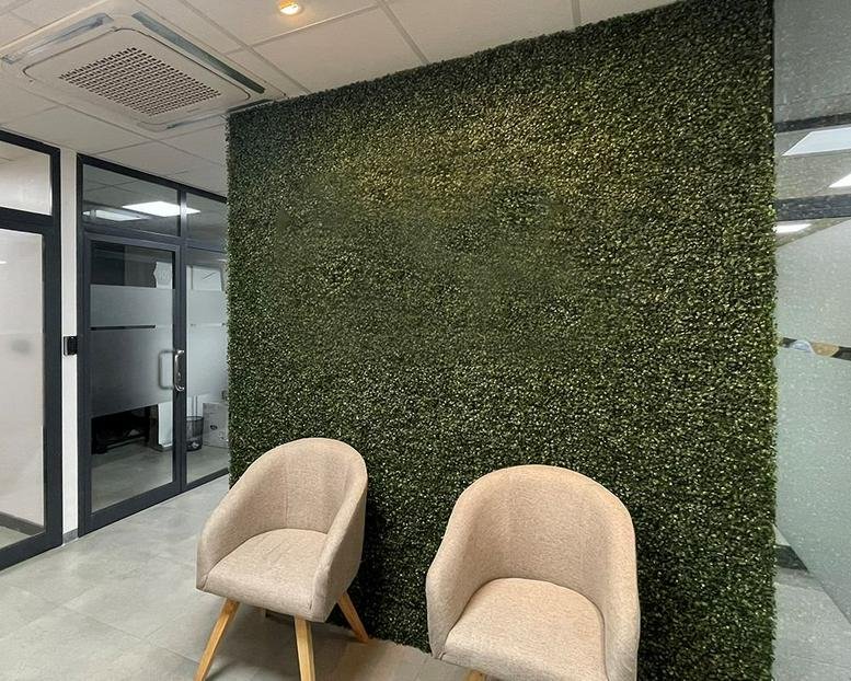 Reception area with a lush green artificial hedge feature wall and two beige tub chairs at The Hive.