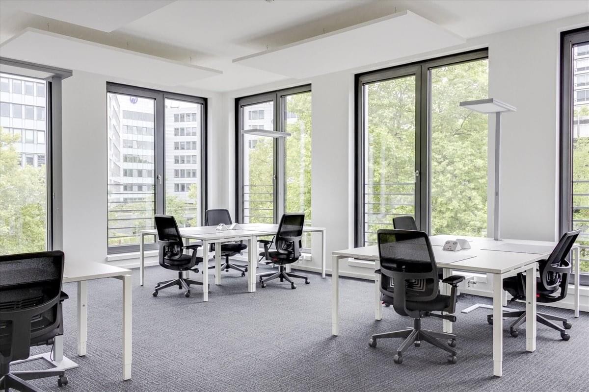 Spacious open-plan workspace at 5 Zoo Road with white desks and large windows overlooking trees.