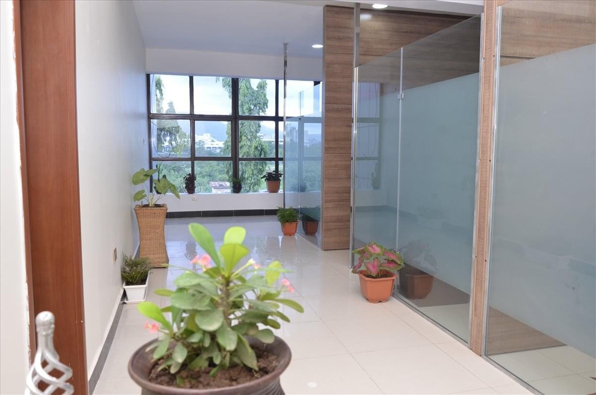 Bright reception hallway at 251 Herbert Marcauley Way with potted plants and glass partitions.