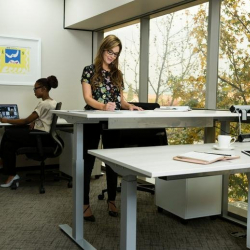 Sandton executive office