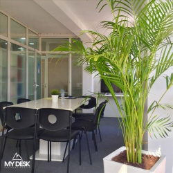Executive office to let in Johannesburg