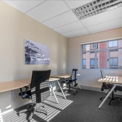 Port Elizabeth executive office