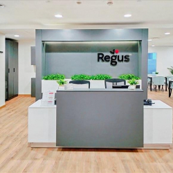 Cairo serviced office